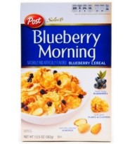 Blueberry Morning 382G